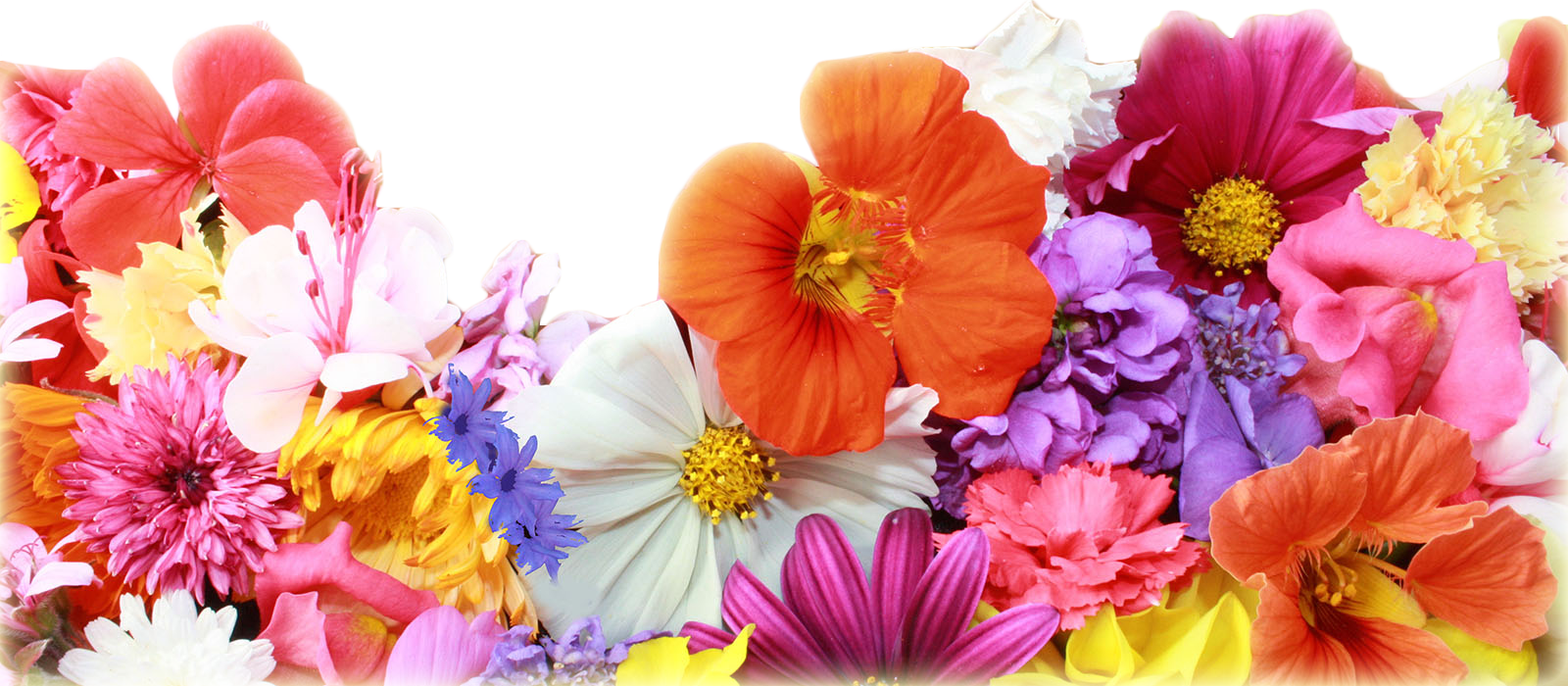 C'est l'heure de la sieste